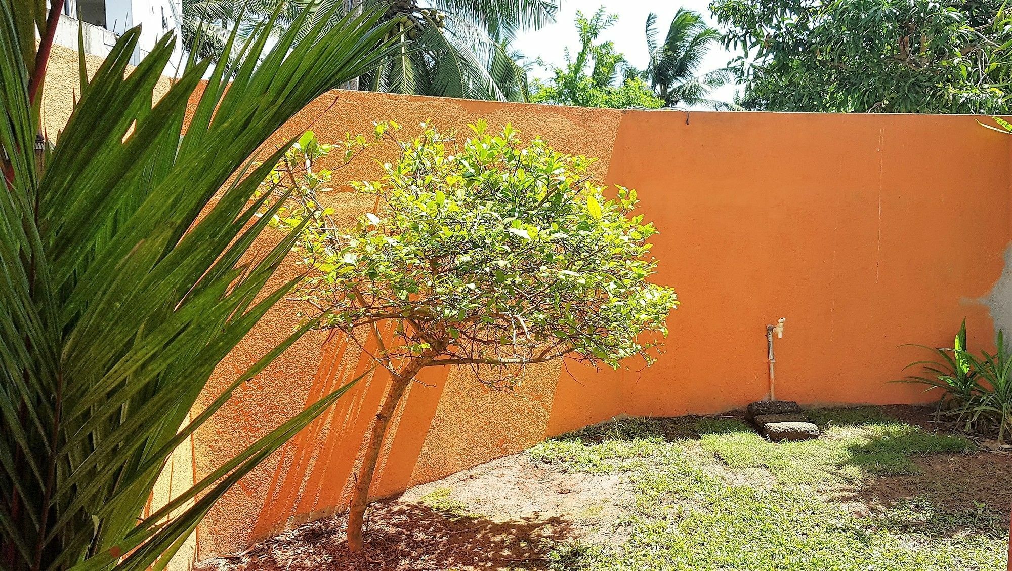 Yoyo Airport Hostel Negombo Bagian luar foto